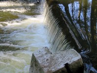 Údolí Doubravy 2017